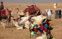 Your Trips Guide14
