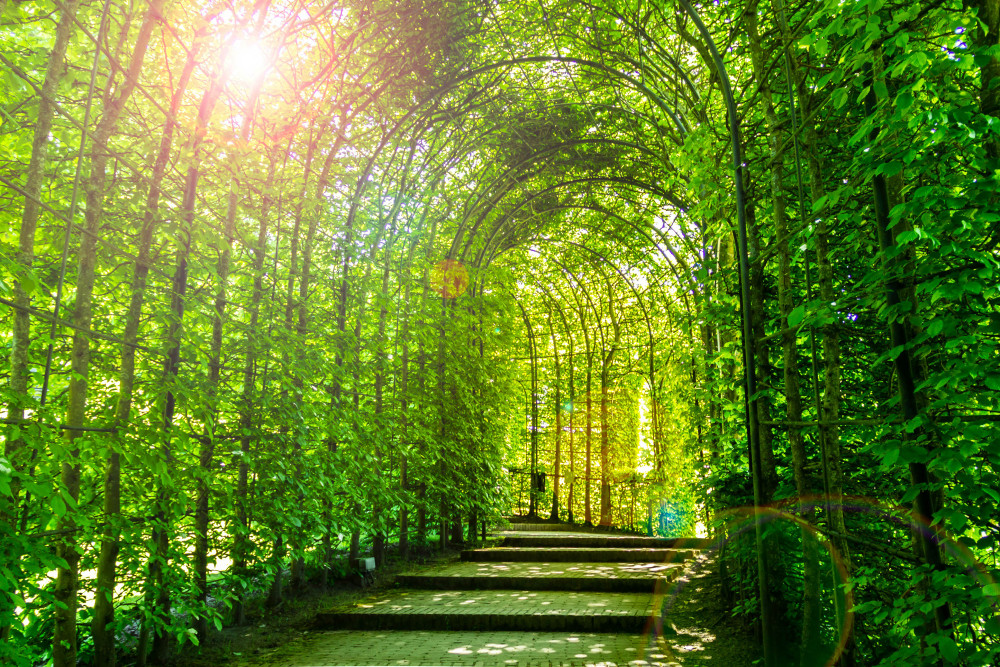 Holy Island, Alnwick Castle & the Kingdom of Northumbria