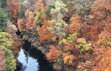 Timberbush Tours2