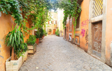 Local Aromas5