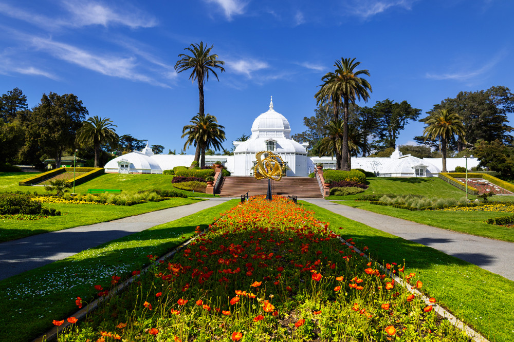Golden Gate Park Walking Tour With California Academy of Sciences Ticket