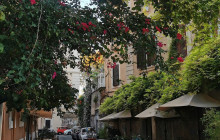 Local Aromas4