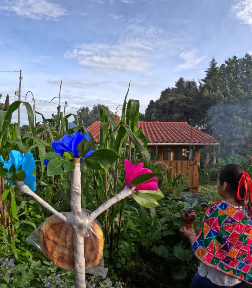 Countryside Tour: History, Crafts and Ancestral Traditions in Mexico