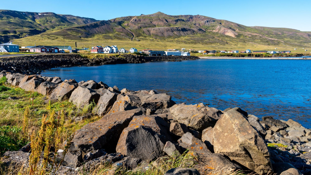Puffins & Peaks: Borgarfjörður Eystri Tour from Seyðisfjörður