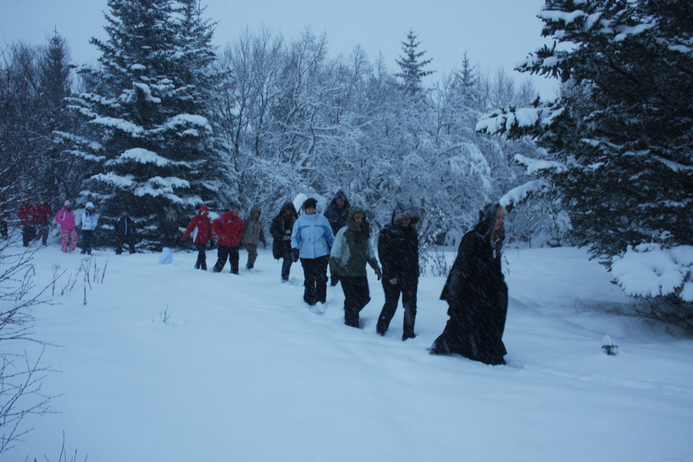 New Year's Traditions And Mystery Tour