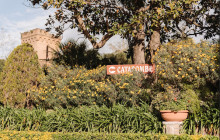 Devour Food Tours5