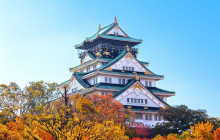 Food Activity Japan K.K.16