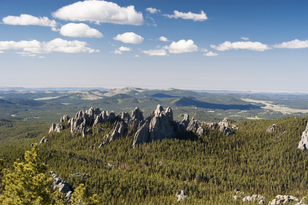 Black Hills to Mount Rushmore: Scenic Driving Tour