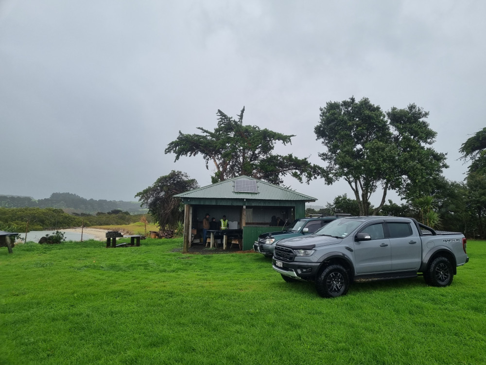 Sheep & Beef Working Farm Private Tour