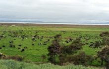 Auckland and Beyond Tours3