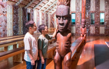 Auckland and Beyond Tours2