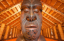 Auckland and Beyond Tours5