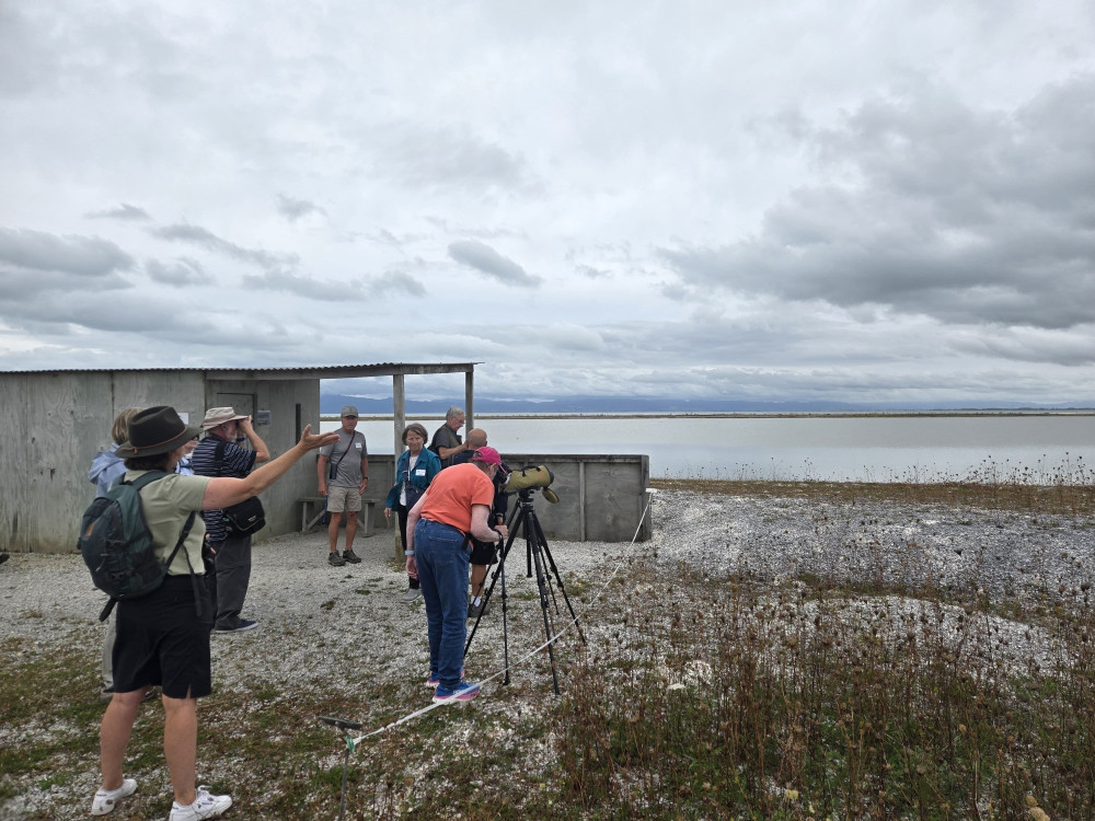 Auckland and Beyond Tours