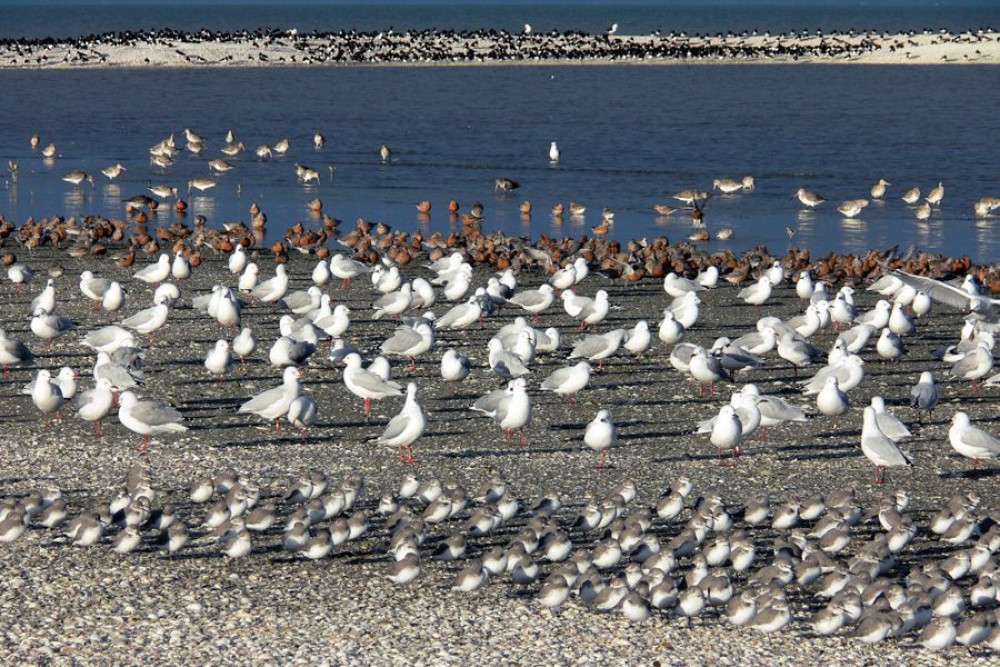 Birdwatching, Hiking & Waterfalls Private Tour