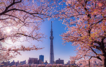 Food Activity Japan K.K.21