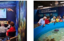 Discova Day Tours and Activities5