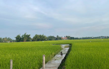 Realistic Asia1