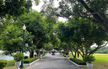 TripGuru - Thailand8