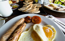 Discova Day Tours and Activities12