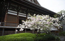 Aperture Tours - Paris10