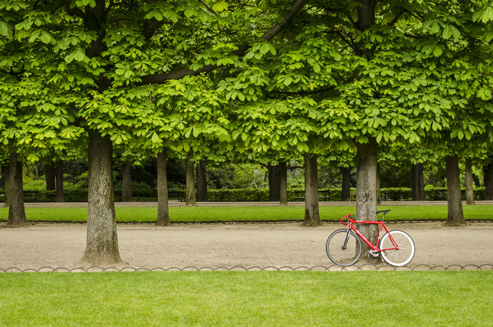 Aperture Tours - Paris