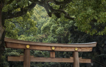 Aperture Tours - Paris9