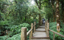 TripGuru - Thailand3