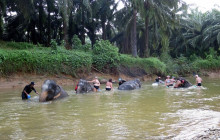 TripGuru - Thailand5