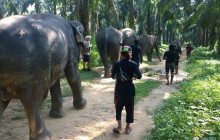 TripGuru - Thailand13