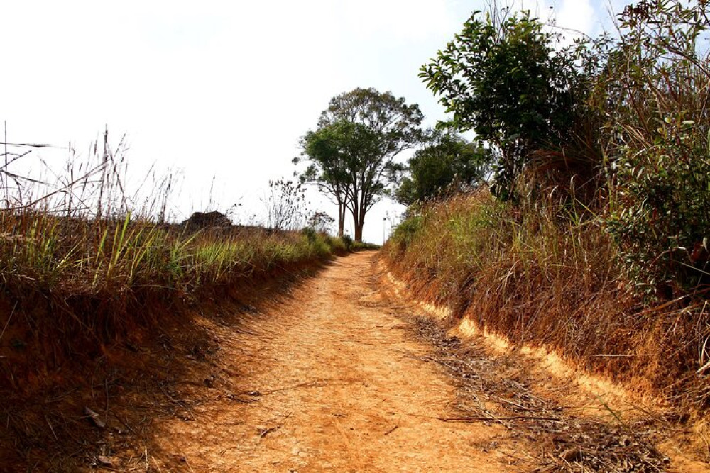 TripGuru - Thailand