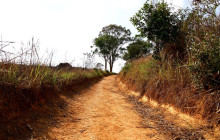 TripGuru - Thailand14