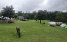 TripGuru - Thailand8
