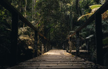 TripGuru - Thailand11
