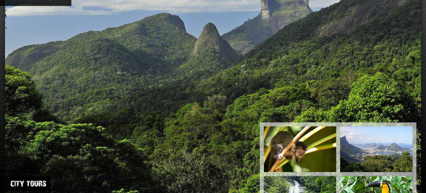 Tijuca National Park - Ecotour