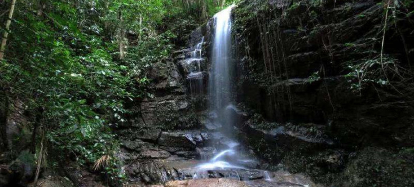 Tijuca National Park - Ecotour