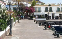 The Best Day Tours495