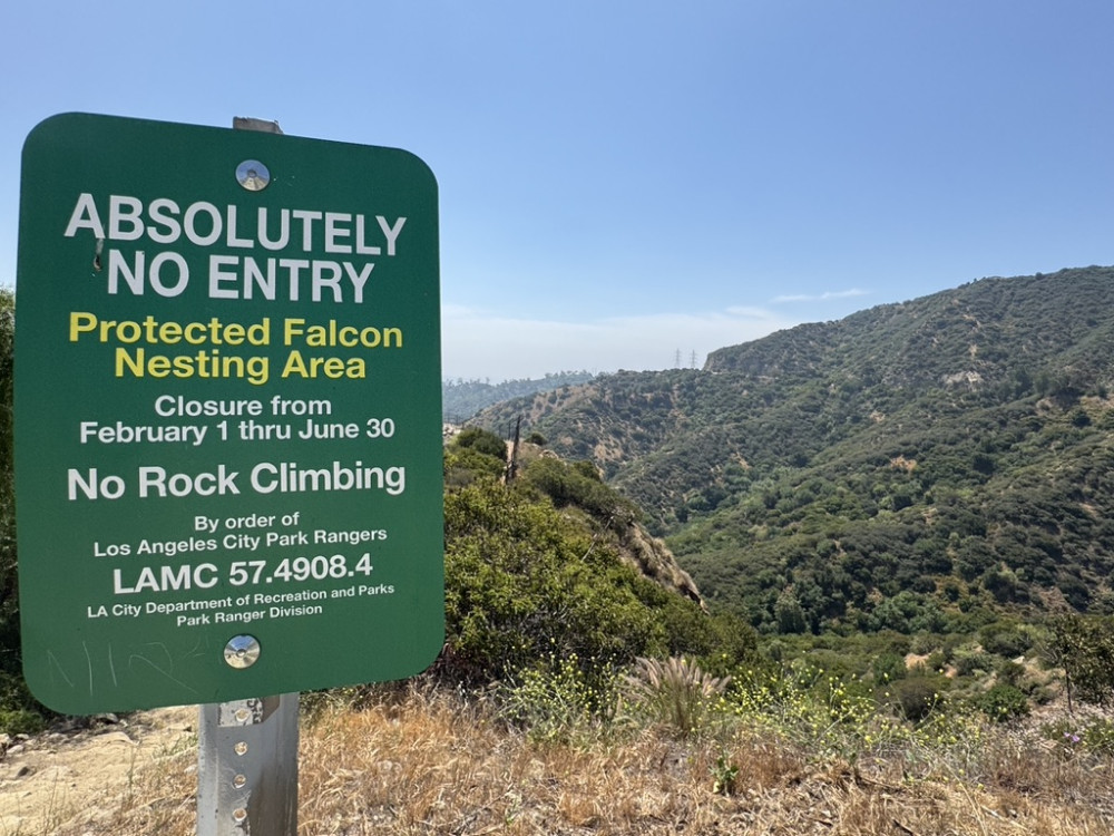 Wild Backside Tour: Griffith Park + LA River