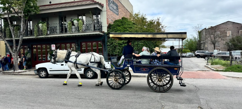 Private Evening Carriage Tour