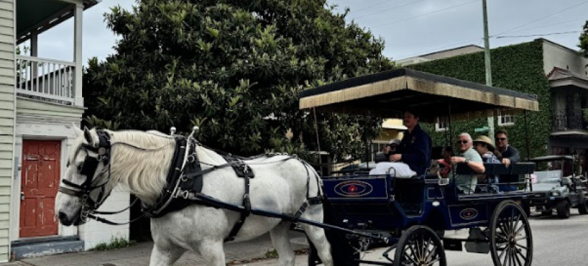 Private Evening Carriage Tour
