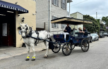 Palmetto Carriage Works5