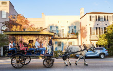 Palmetto Carriage Works6