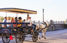 Palmetto Carriage Works7