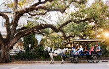 Palmetto Carriage Works8