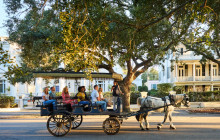 Palmetto Carriage Works12