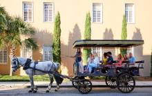 Palmetto Carriage Works15