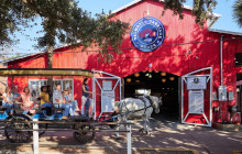 Palmetto Carriage Works16