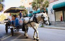 Palmetto Carriage Works17