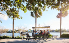 Palmetto Carriage Works18