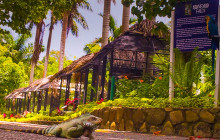 Fun Tours Jamaica6