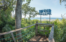 Fun Tours Jamaica7